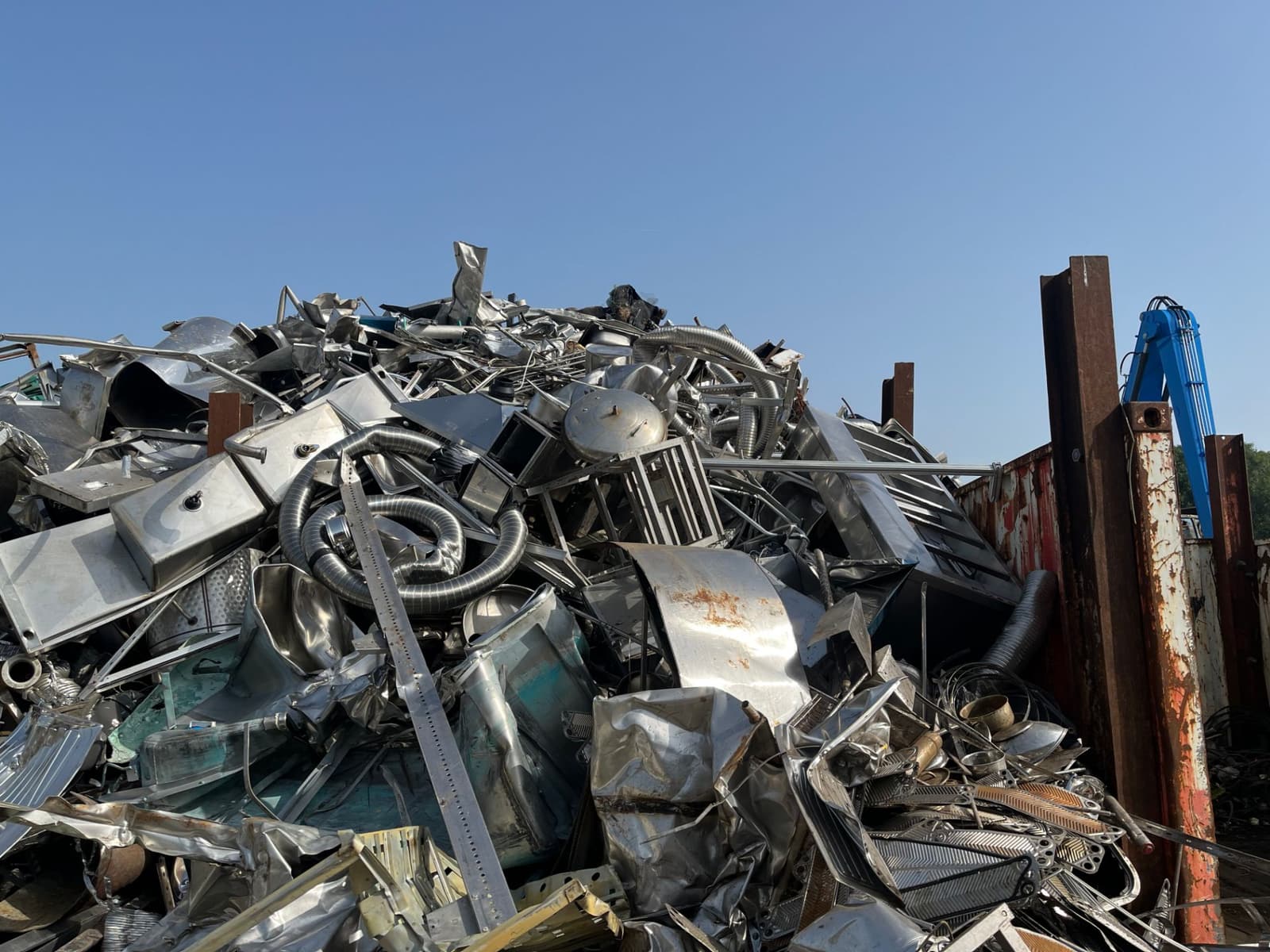 IMG_1946